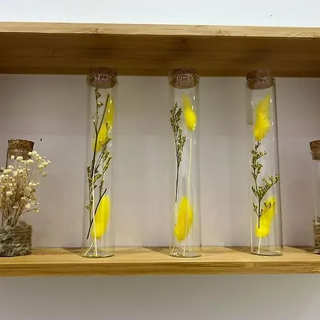 Appartement Confortable Très Proche Du Centre De Nîmes