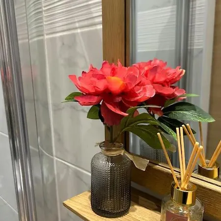 Appartement Confortable Très Proche Du Centre De