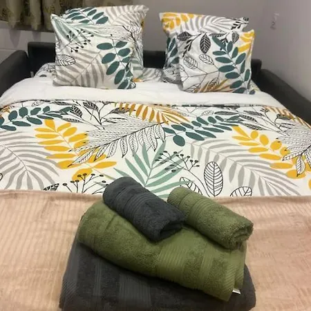 Appartement Confortable Très Proche Du Centre De *